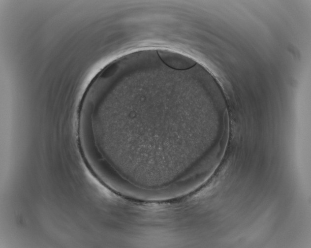 X0000110701527200906121323