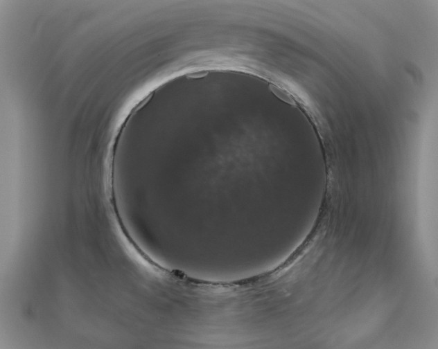 X0000110701528200906121323
