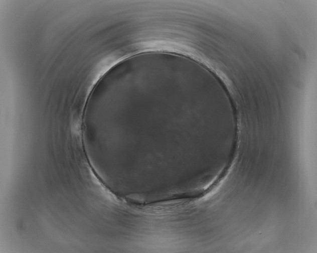 X0000110701529200906121323