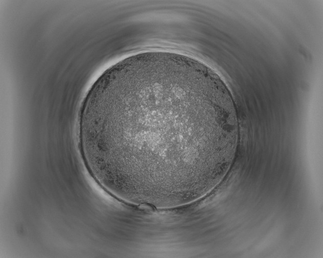 X0000110701531200906121323