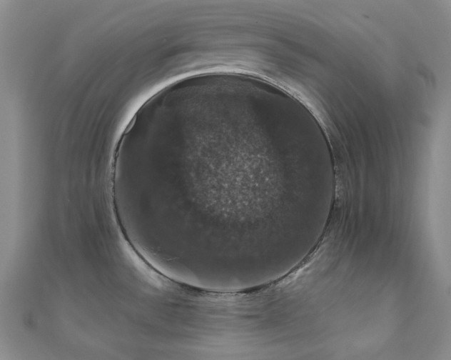 X0000110701532200906121323