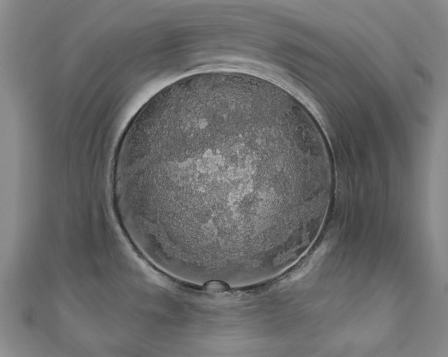 X0000110701533200906121323