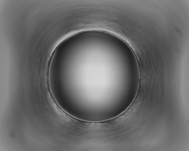 X0000110701534200906121323