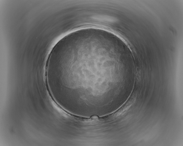 X0000110701535200906121323