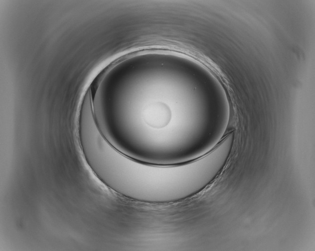 X0000110701536200906121323