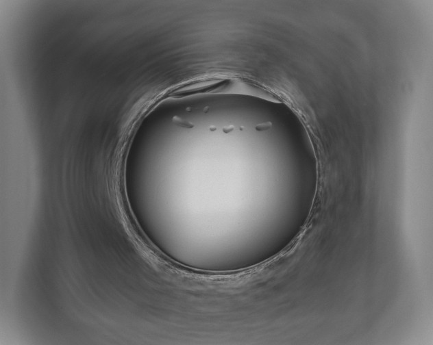 X0000110700001200906191537