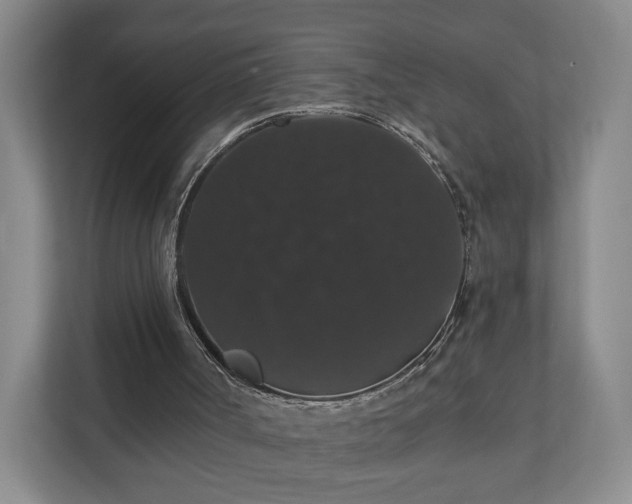X0000110700002200906191537