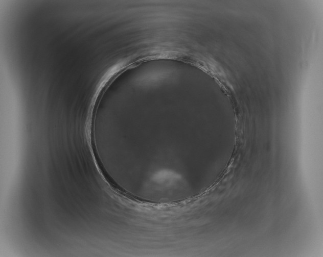 X0000110700003200906191537