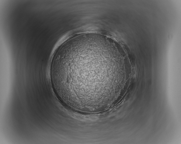 X0000110700004200906191537