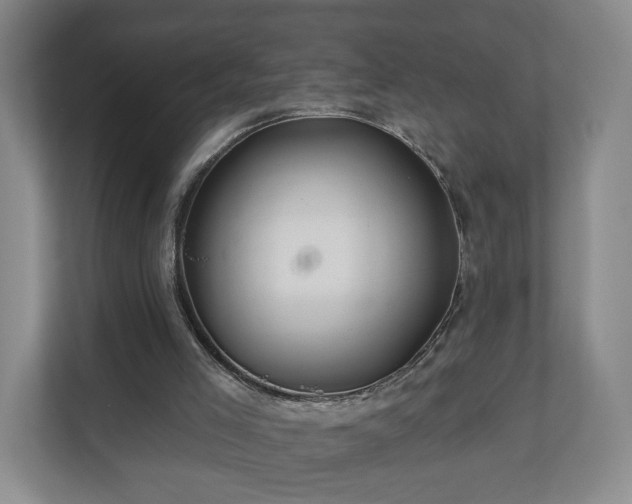 X0000110700005200906191537