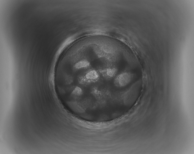 X0000110700006200906191537