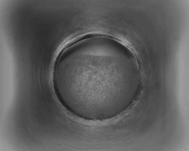 X0000110700007200906191537