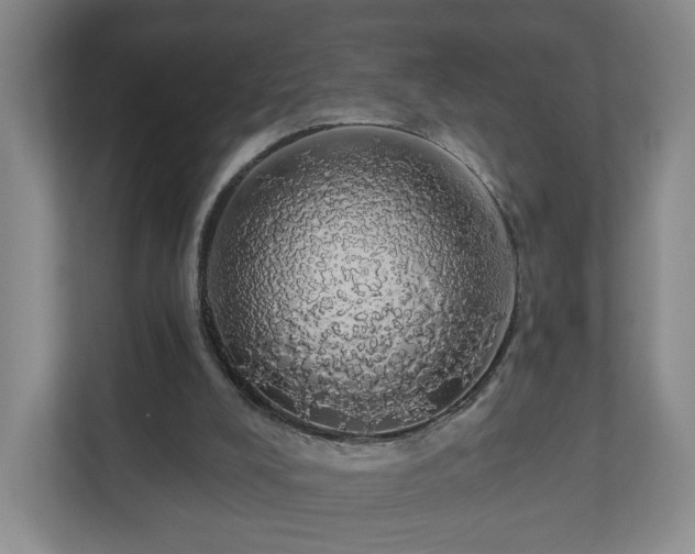 X0000110700008200906191537