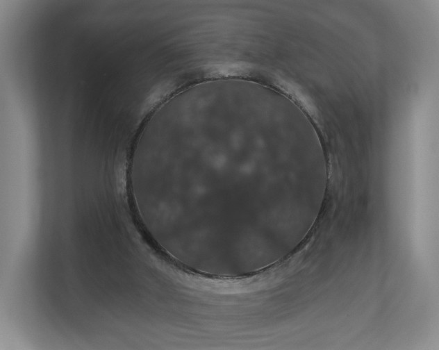 X0000110700010200906191536