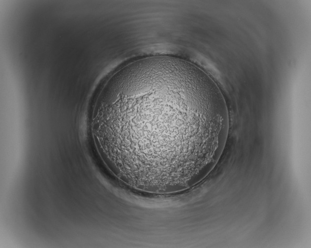 X0000110700012200906191536