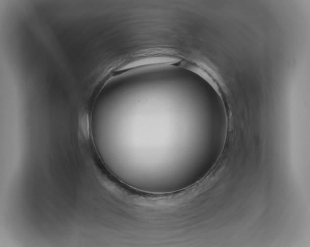 X0000110700013200906191536