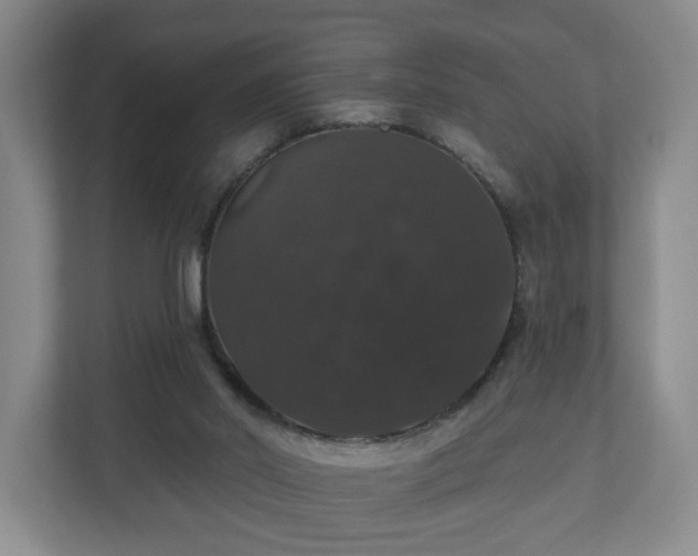 X0000110700014200906191536