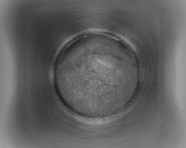 X0000110700015200906191536