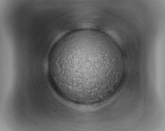 X0000110700016200906191536