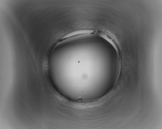 X0000110700017200906191536