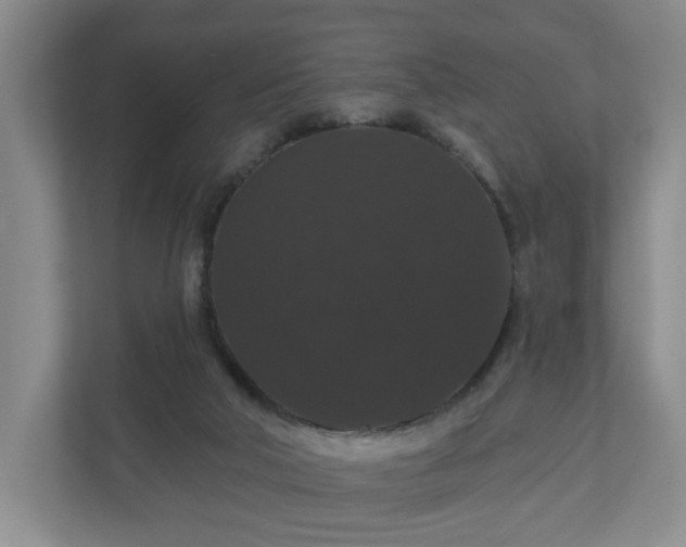 X0000110700018200906191536