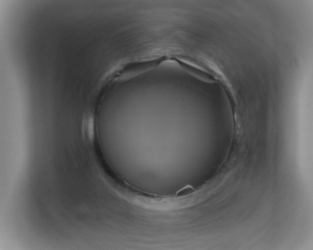 X0000110700019200906191536