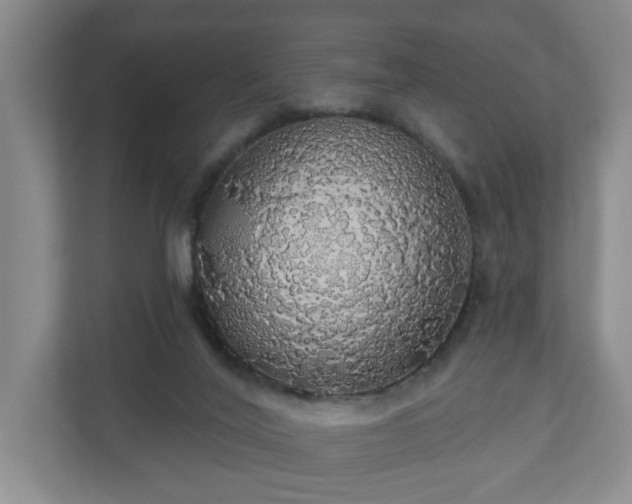X0000110700020200906191536