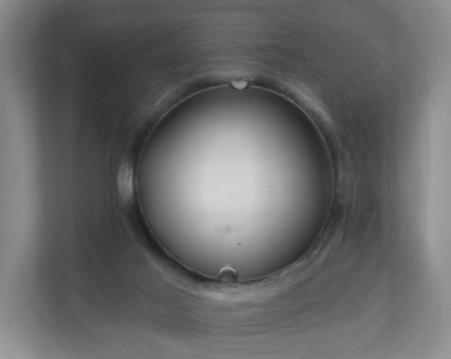 X0000110700021200906191536