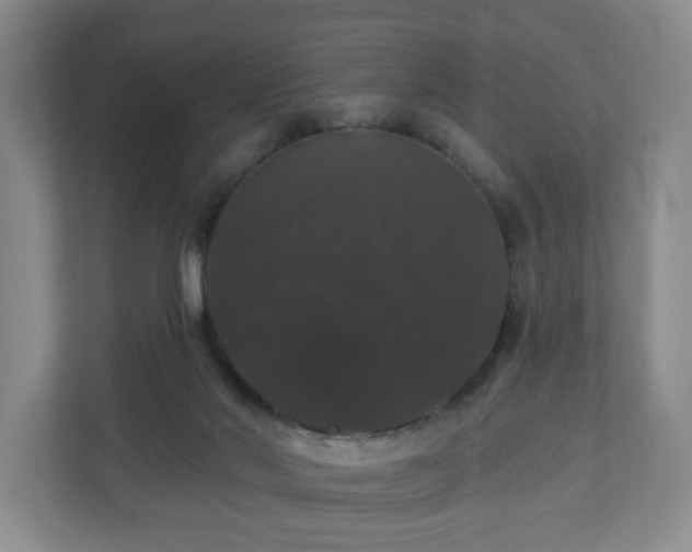 X0000110700022200906191536