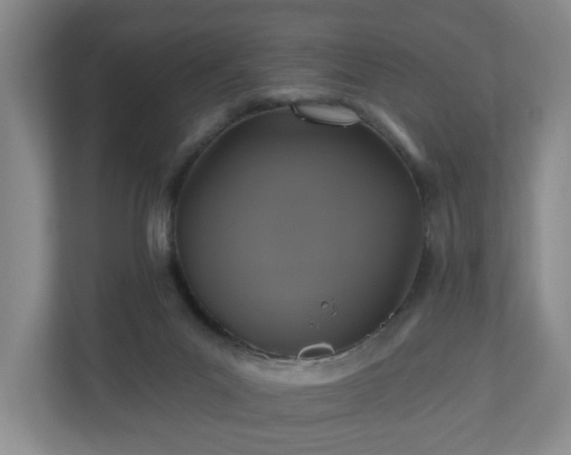 X0000110700023200906191536