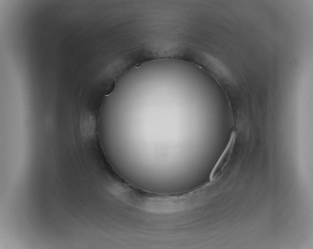 X0000110700025200906191536
