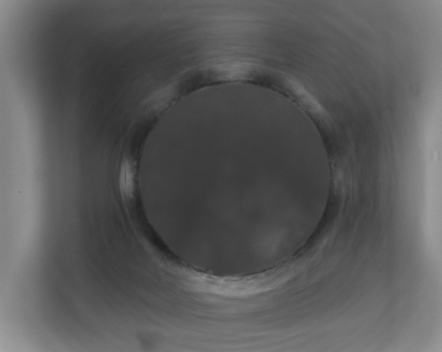 X0000110700026200906191536