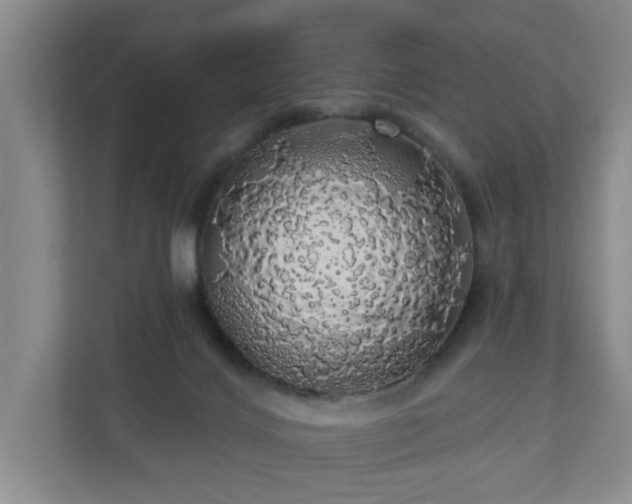X0000110700028200906191536