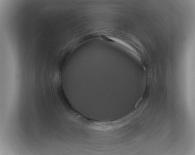 X0000110700029200906191536