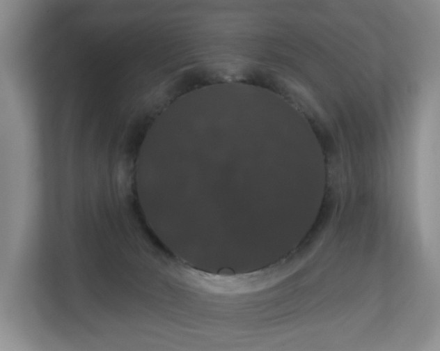 X0000110700030200906191536