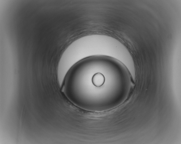 X0000110700033200906191536