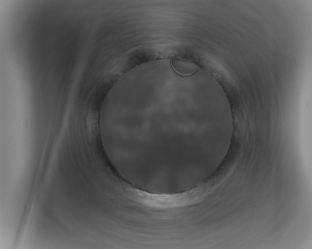 X0000110700034200906191536