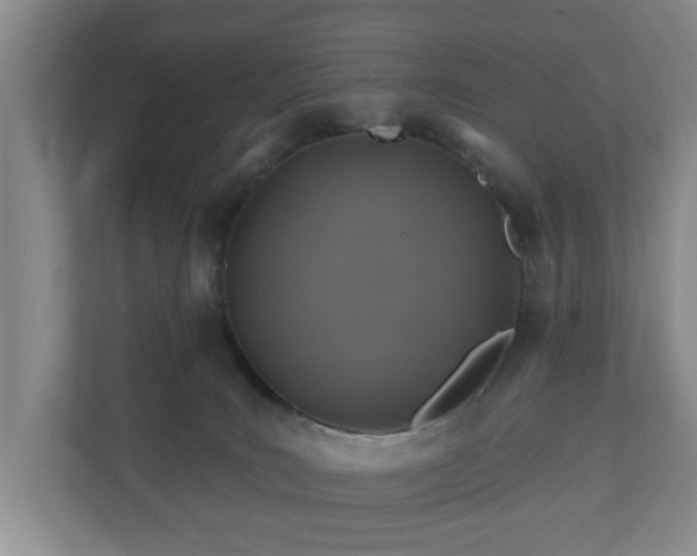 X0000110700035200906191536