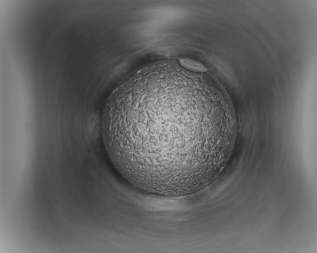 X0000110700036200906191536