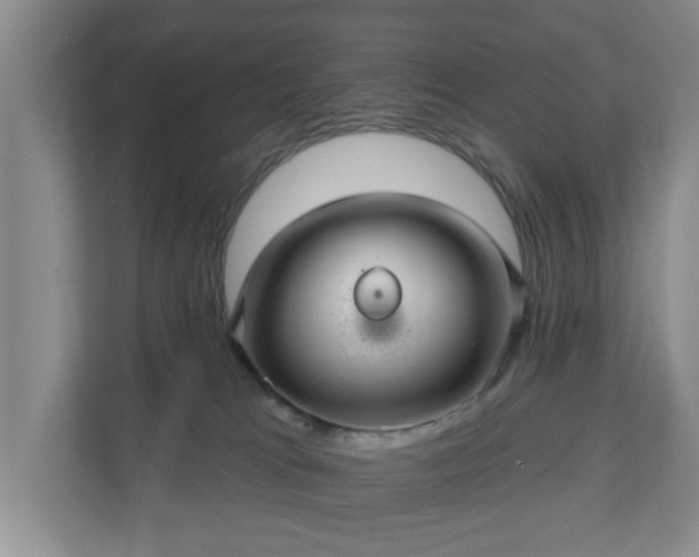 X0000110700037200906191536