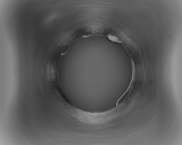 X0000110700039200906191536
