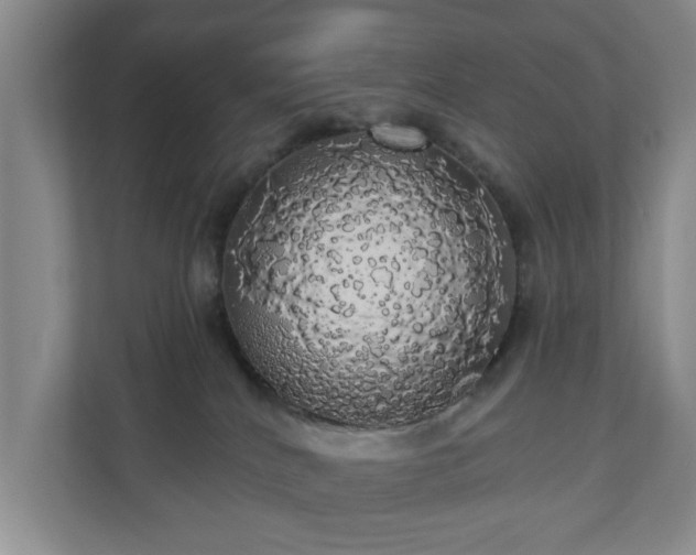 X0000110700040200906191536