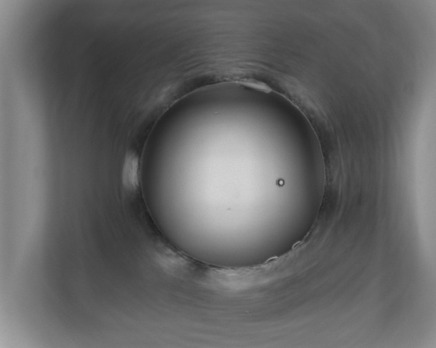 X0000110700041200906191536