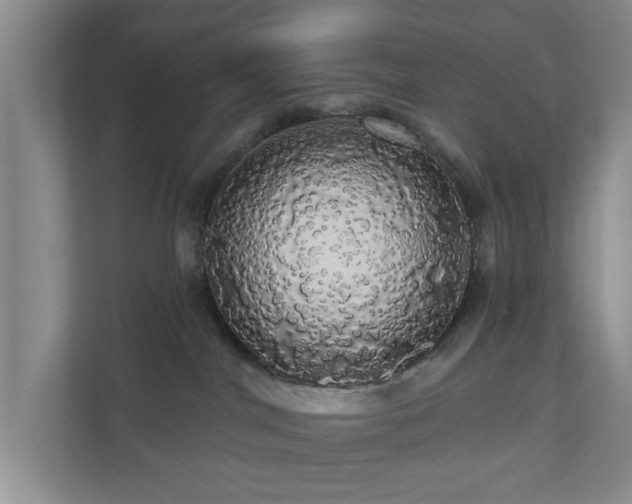 X0000110700044200906191536