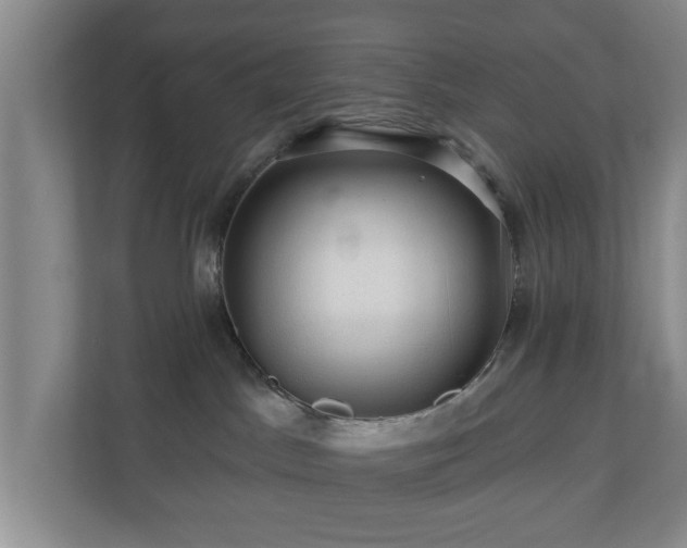 X0000110700045200906191536