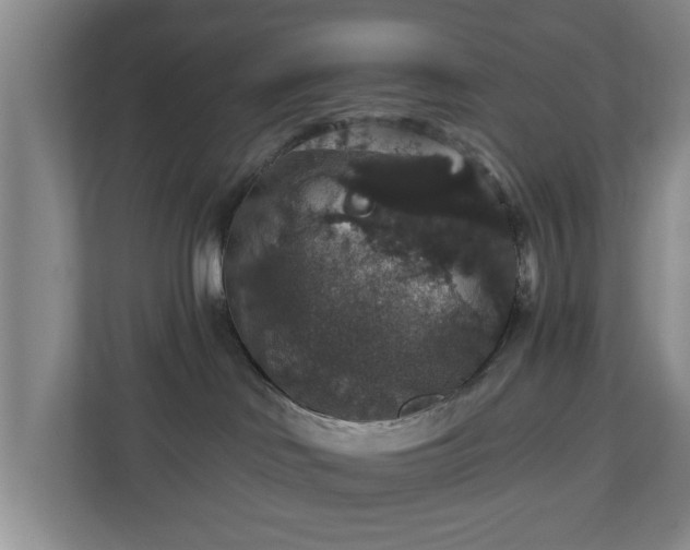 X0000110700046200906191536