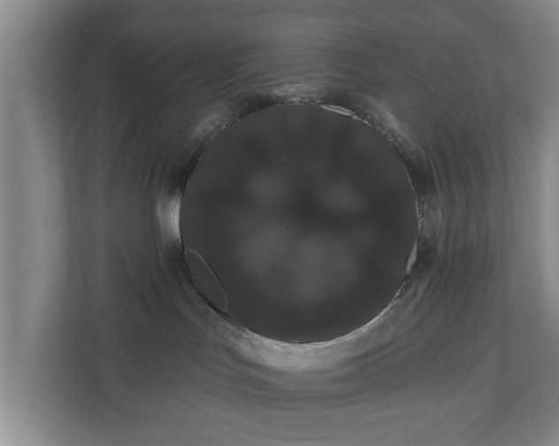 X0000110700047200906191536