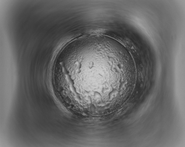 X0000110700049200906191535