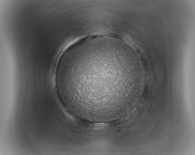X0000110700050200906191535