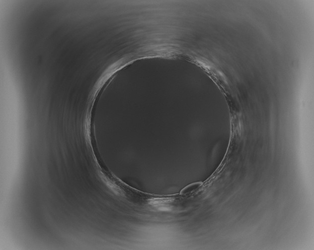 X0000110700051200906191535